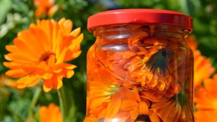 Hindistan Cevizi Yağı Hindistan Cevizi Yağı