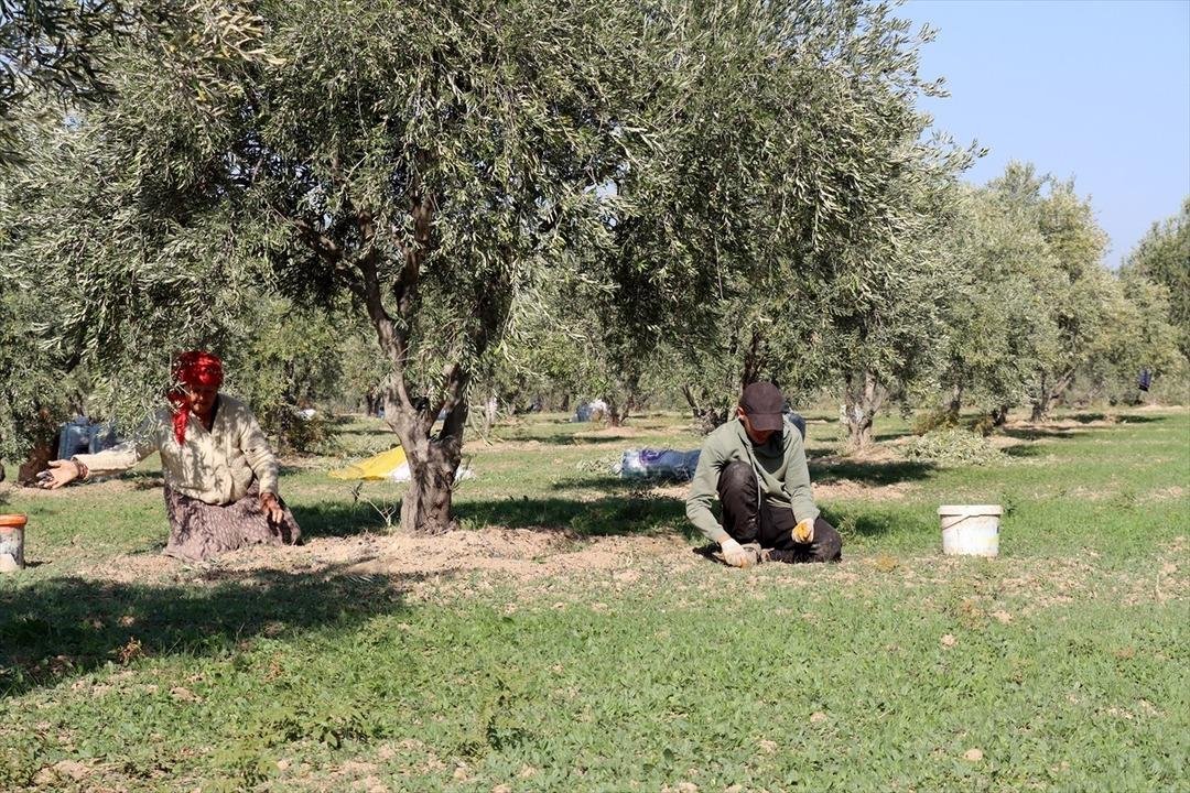 Muhtar tesis kurdu: Mahalleli başka ile gitmekten vazgeçti 6