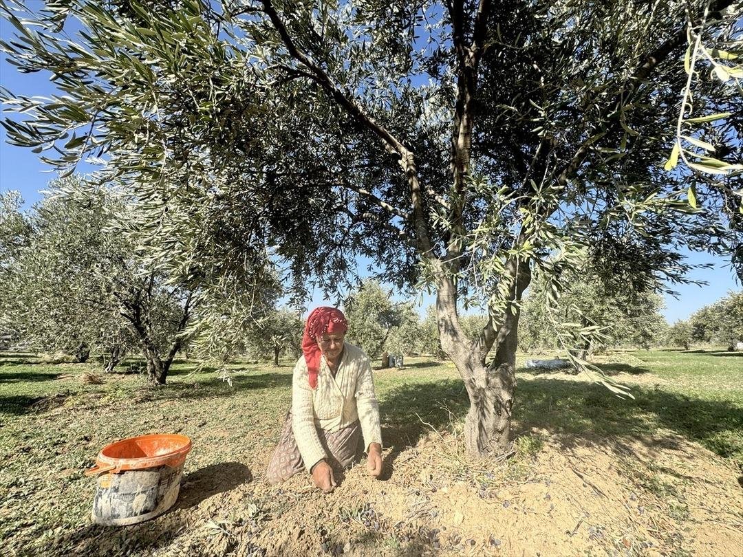 Muhtar tesis kurdu: Mahalleli başka ile gitmekten vazgeçti 7