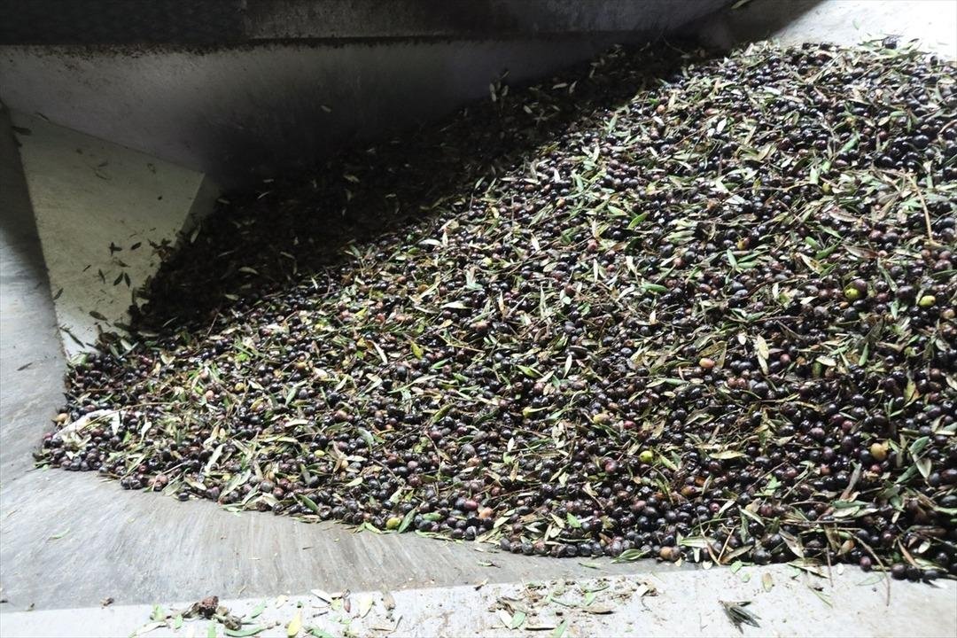 Muhtar tesis kurdu: Mahalleli başka ile gitmekten vazgeçti 10