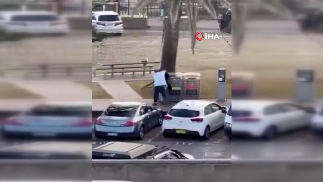 Avustralya, manav Ahmed El Ahmed i konuşuyor: Kendi canını hiçe saydı, kahraman ilan edildi 3