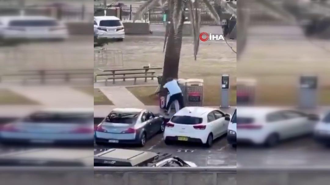 Avustralya, manav Ahmed El Ahmed i konuşuyor: Kendi canını hiçe saydı, kahraman ilan edildi 2