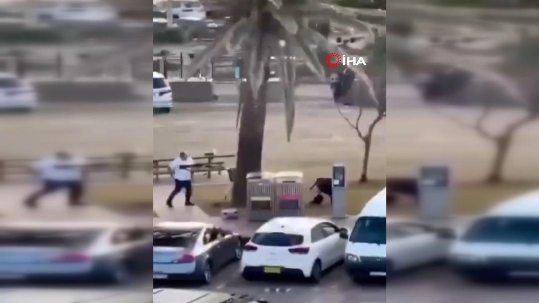 Avustralya, manav Ahmed El Ahmed i konuşuyor: Kendi canını hiçe saydı, kahraman ilan edildi 9