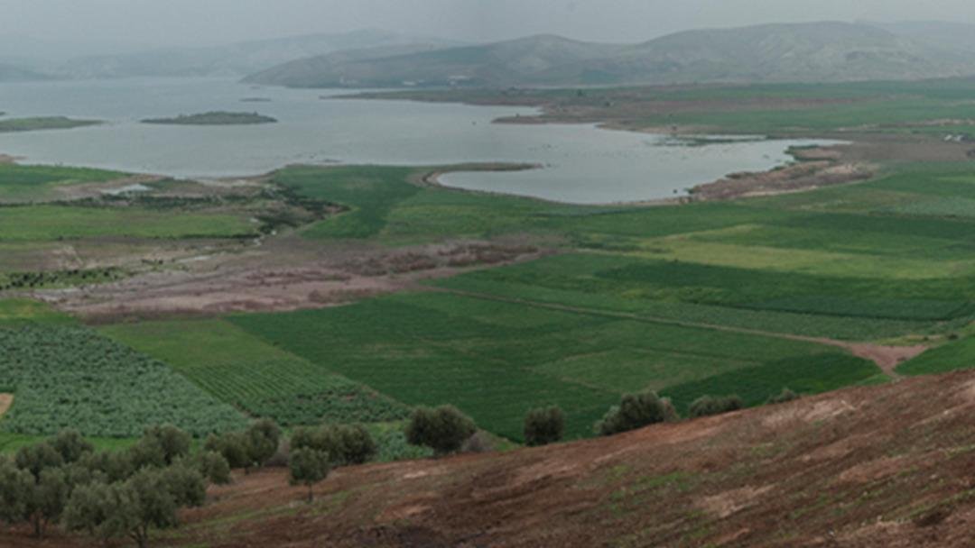 E-Devlet’te yeni uygulama! Renge göre yatırım dönemi başladı: ‘Gri alan görüyorsanız tam bir sürpriz’ 2